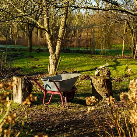 Mit Blick In Den Park Holiday home