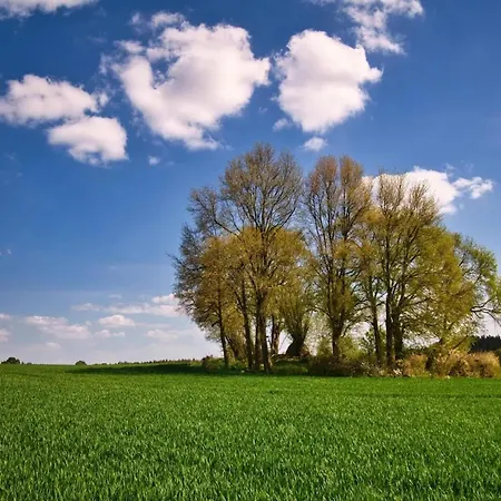 Semesterbostad Manor Lakeside Escape