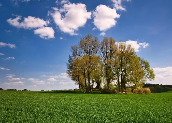 度假居 Manor Lakeside Escape