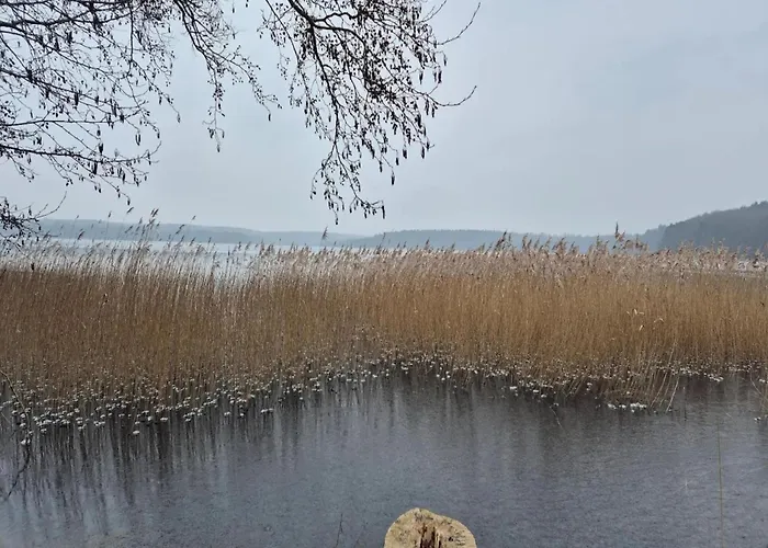 Manor Lakeside Escape 度假居