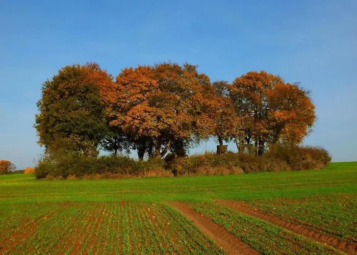 Manor Lakeside Escape 度假居 *