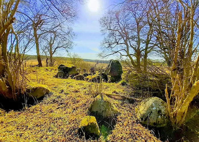 Manor Lakeside Escape 度假居