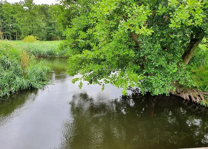 度假居 Manor Lakeside Escape *